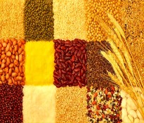 f(wn)|ِZИI(y) 2025-2027 (jng)(zhng)֣CR5  + ȫa(chn)I(y)朲I(y)ƾ·ɶԃ˾